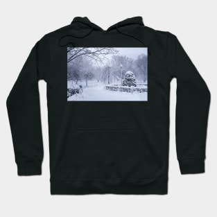 Boston MA Winter Wonderland Boston Public Garden Hoodie